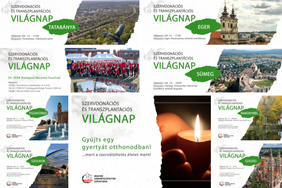 Szervdonációs és Transzplantációs Viágnap 2024.